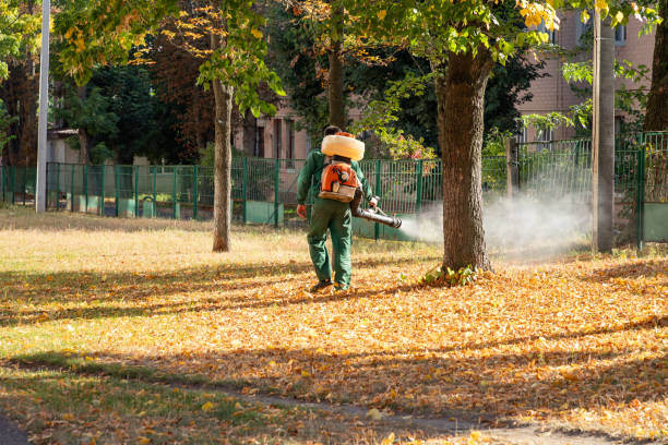 Professional Pest Control in Wadsworth, OH