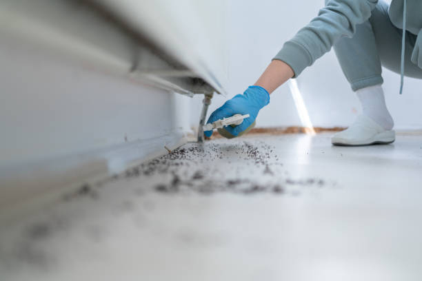 Pest Control Cost in Wadsworth, OH